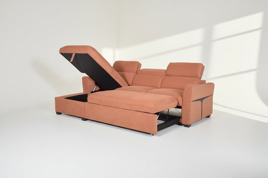 Abrazo Sectional Sofa Cum Bed
