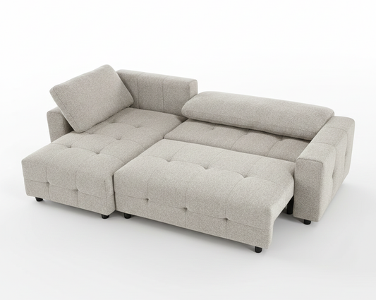 Placido Sectional Sofa Cum Bed