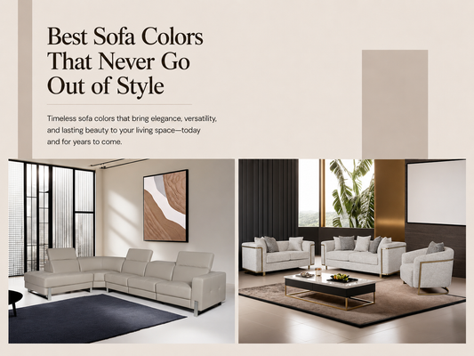 Best Sofa Colors That Never Go Out of Style