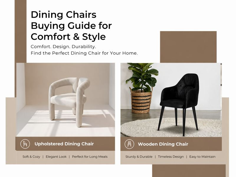 dining-chairs-buying-guide-for-comfort-&-style