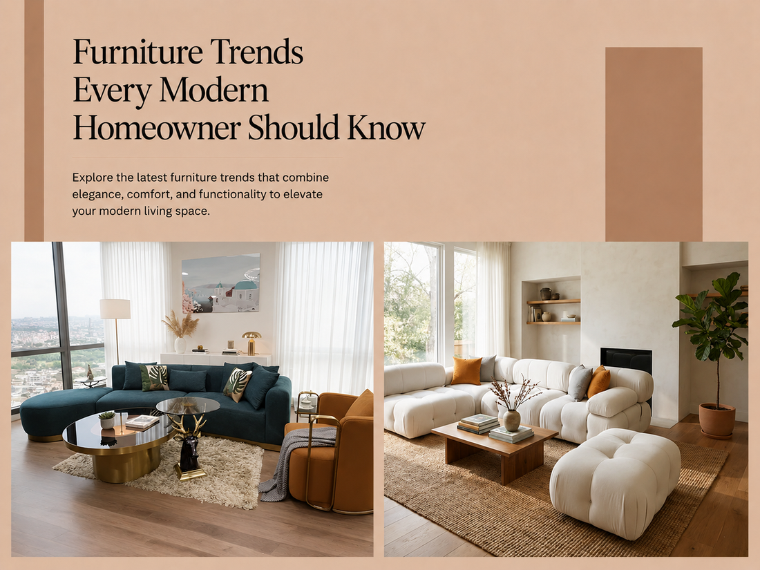Furniture Trends Every Modern Homeowner Should Know
