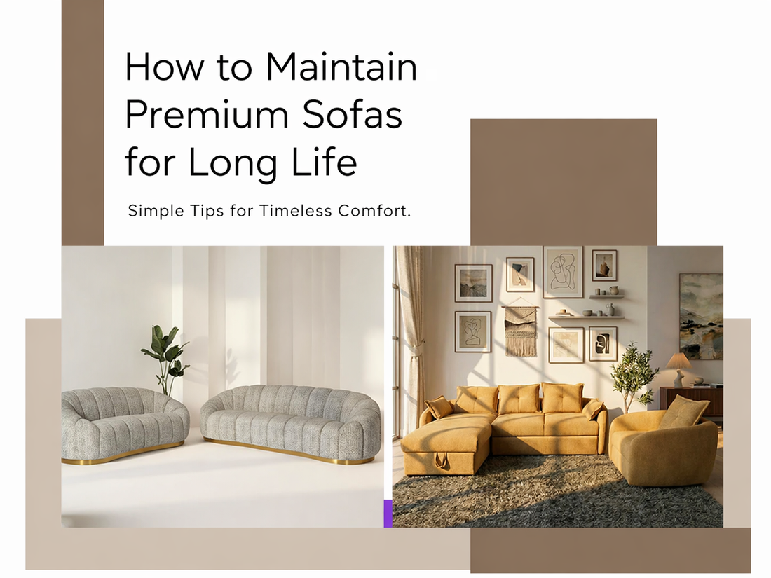 how-to-maintain-premium-sofas-for-long-life