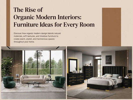 The Rise of Organic Modern Interiors: Furniture Ideas for Every Room