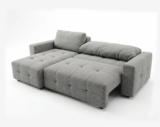 Placido Sectional Sofa Cum Bed