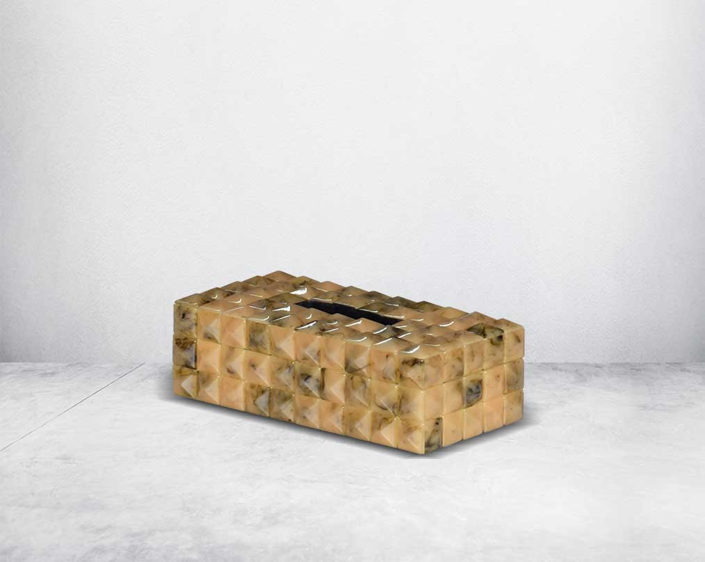 Amias Tissue Box