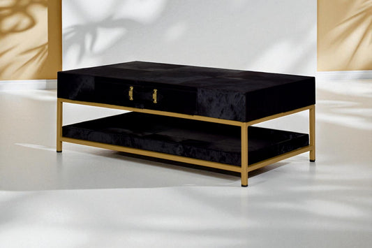 Rafeela Coffee Table